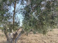 IMG_20260616_075747.jpg