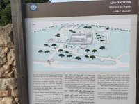 IMG_20260616_075830.jpg