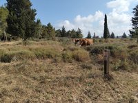 IMG_20260616_080529.jpg