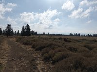 IMG_20260616_080533.jpg