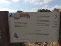 IMG_20260616_082353.jpg