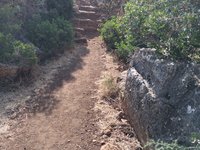 IMG_20260616_082644.jpg