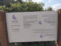 IMG_20260616_084052.jpg