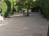 IMG_20260616_084427.jpg