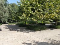 IMG_20260616_084544.jpg