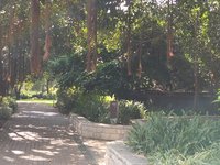 IMG_20260616_084814.jpg