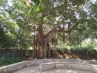 IMG_20260616_084859.jpg
