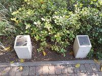 IMG_20260616_084922.jpg