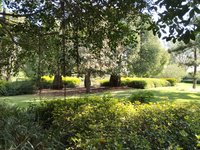 IMG_20260616_084925.jpg