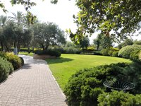 IMG_20260616_085035.jpg