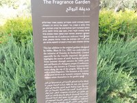 IMG_20260616_085058.jpg