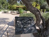 IMG_20260616_085118.jpg