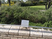 IMG_20260616_085155.jpg