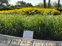 IMG_20260616_085225.jpg