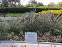 IMG_20260616_085235.jpg