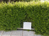 IMG_20260616_085307.jpg