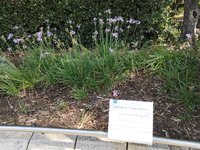 IMG_20260616_085314.jpg
