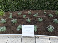IMG_20260616_085324.jpg