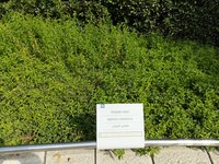 IMG_20260616_085333.jpg
