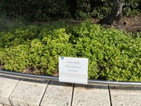 IMG_20260616_085352.jpg