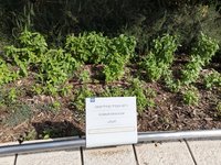 IMG_20260616_085421.jpg