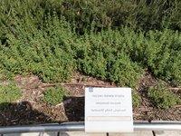 IMG_20260616_085431.jpg