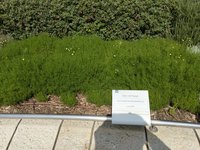 IMG_20260616_085450.jpg