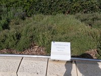 IMG_20260616_085457.jpg