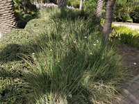 IMG_20260616_085740.jpg