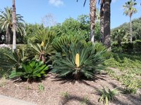 IMG_20260616_085802.jpg