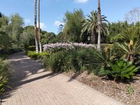 IMG_20260616_085805.jpg