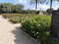 IMG_20260616_090206.jpg