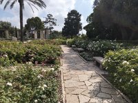IMG_20260616_090221.jpg