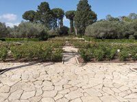 IMG_20260616_090312.jpg