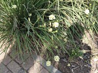 IMG_20260616_090748.jpg
