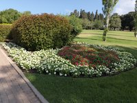 IMG_20260616_090935.jpg
