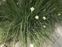 IMG_20260616_091148.jpg