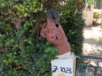 IMG_20260616_105659.jpg
