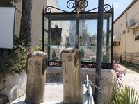 IMG_20260616_110525.jpg