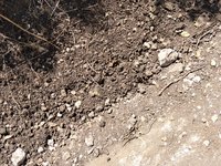 IMG_20260616_135038.jpg