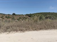 IMG_20260616_142028.jpg