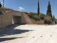 IMG_20260616_145212.jpg