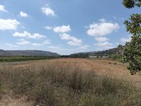 IMG_20260616_150857.jpg