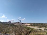 IMG_20260616_165700.jpg