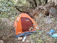 IMG_20260616_191036.jpg