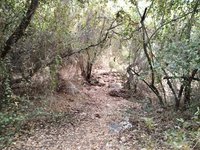 IMG_20260616_191918.jpg