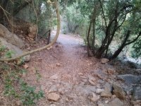 IMG_20260617_055845.jpg