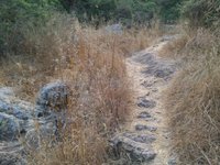 IMG_20260617_055954.jpg