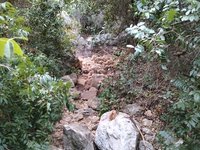 IMG_20260617_060238.jpg