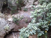 IMG_20260617_060313.jpg